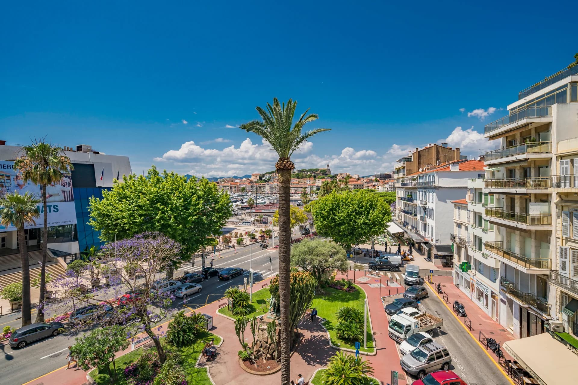 Le boulevard et le vieux Cannes depuis les fenêtres, jacarandas en fleur
