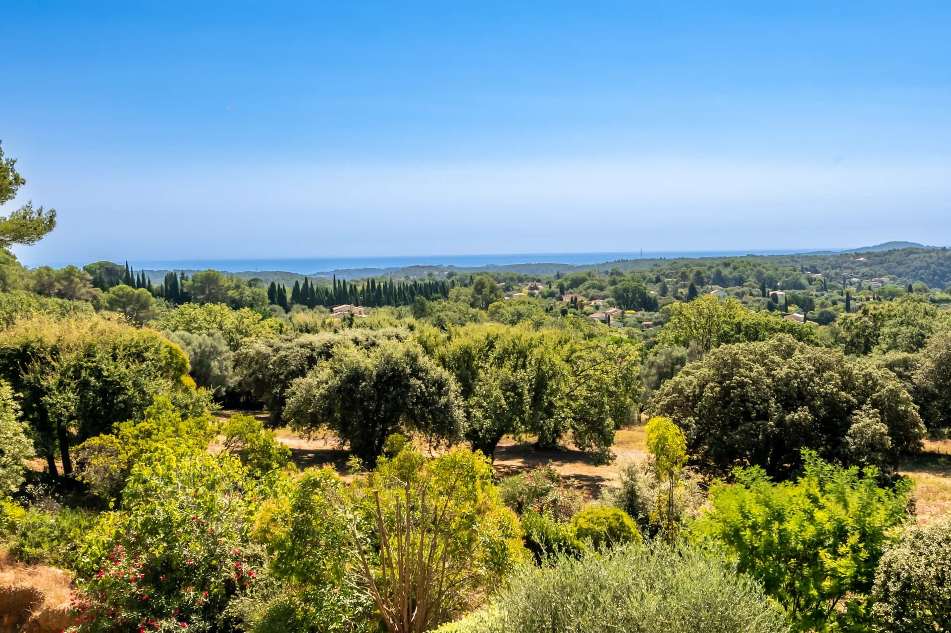 Vue sur la campagne d’oliviers et la mer à l’horizon
