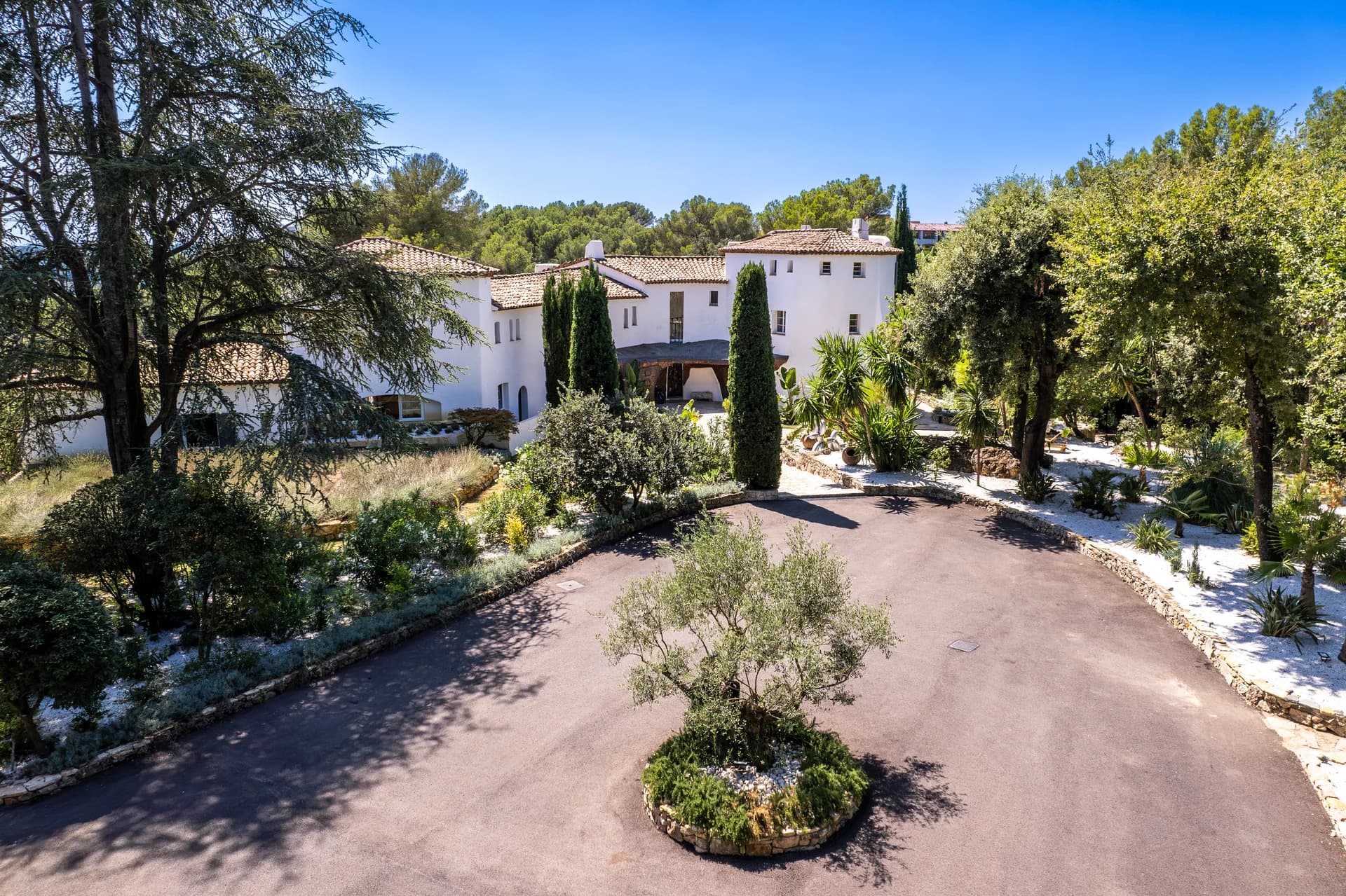 La cour d’entrée, l’olivier au centre du rond-point et le jardin sec