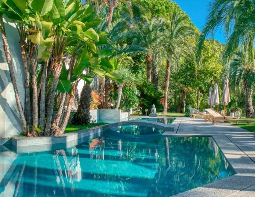 La piscine extérieure au pied des palmiers