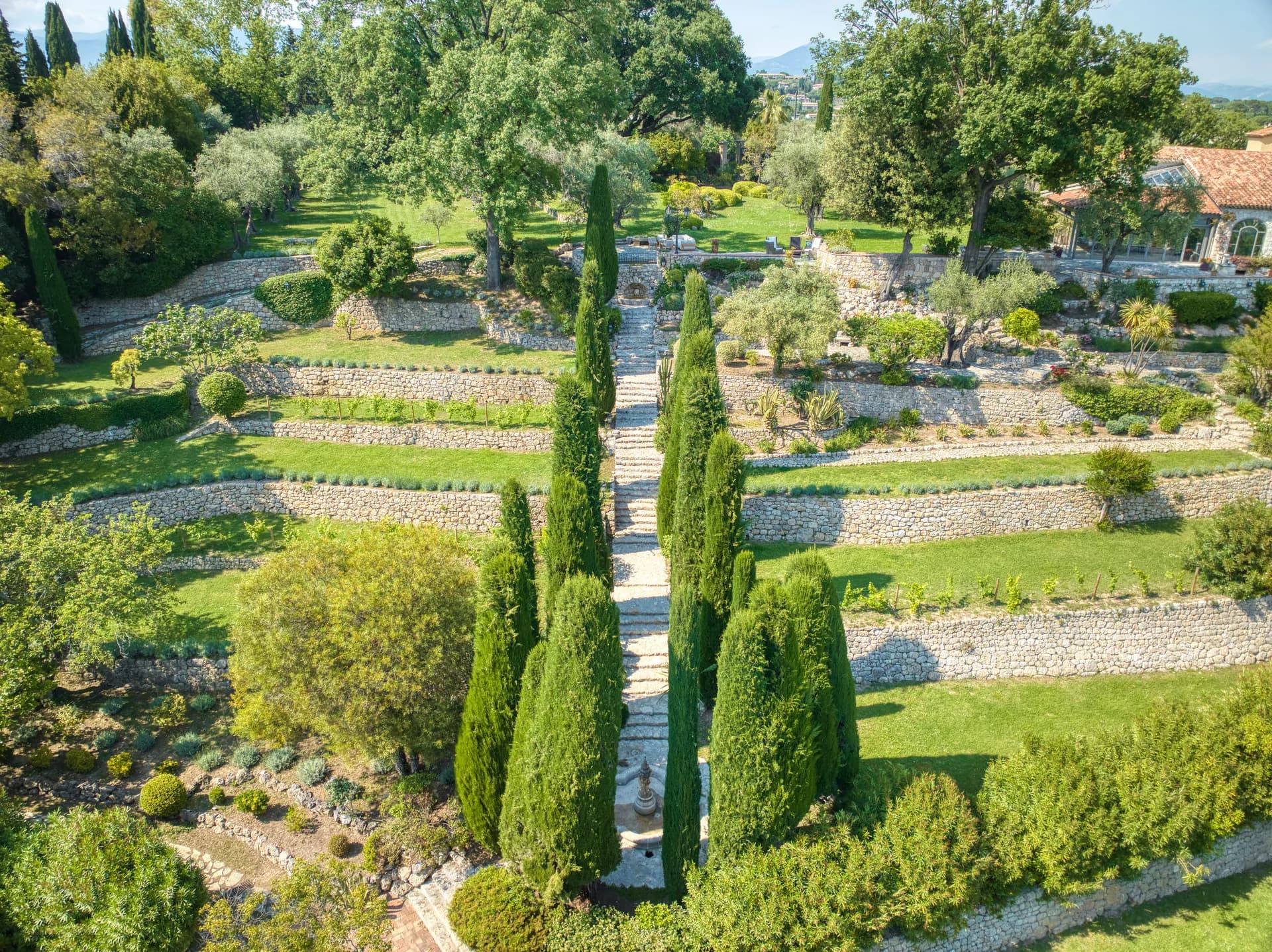 Escalier de pierre entre les cyprès, restanques de vignes et d’oliviers