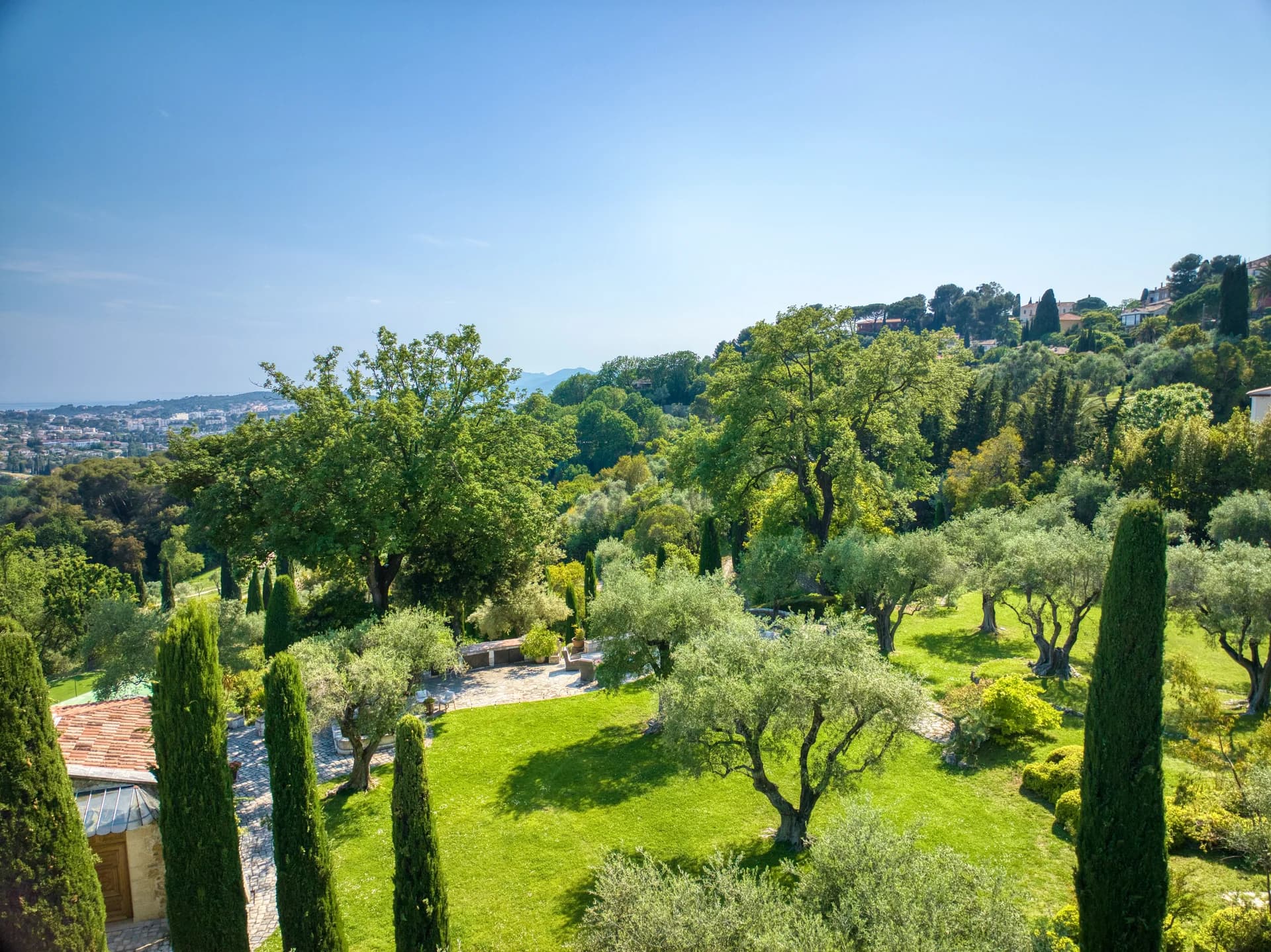 La grande pelouse, ses oliviers et la côte à l’horizon